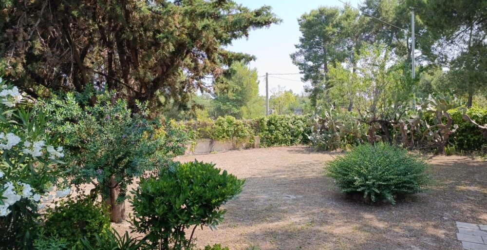 spazioliberoeventi2